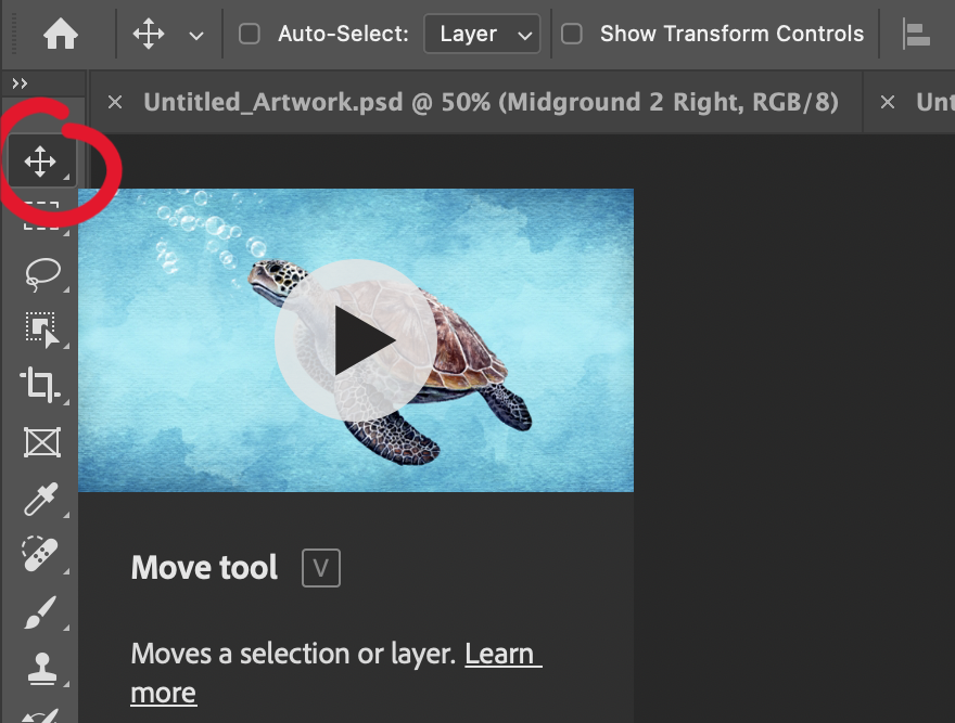An image of a turtle in the photoshop canvas with a red circle around the move tool.
