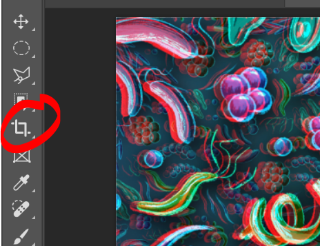 A close up of the tool bar with a red circle around the crop tool