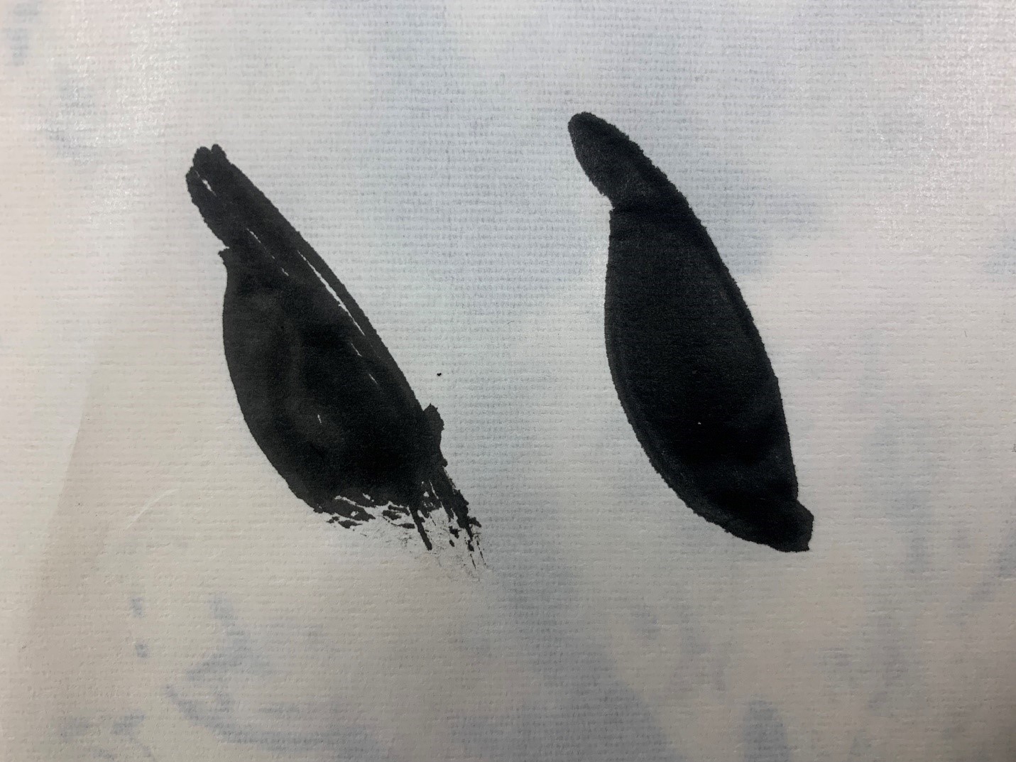 Two side by side examples of a brush stroke. 