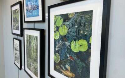 Reflected Moments: A Solo Exhibition by Laura McCormick